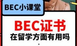 吃瓜网独家爆料视频下载免费观看,吃瓜网爆热视频免费下载，一睹为快！